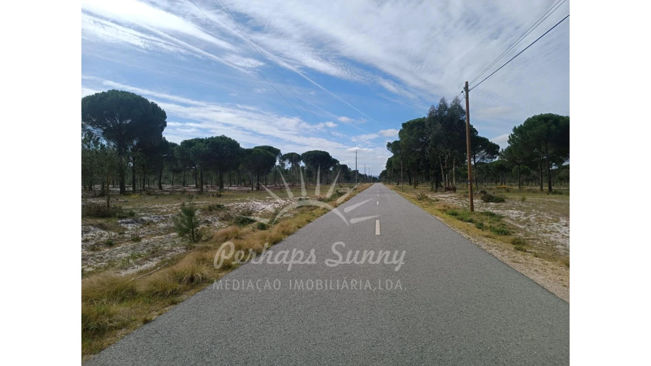 Terreno Agricola ou Rústico para Venda em Grândola e Santa Margarida da Serra Foto 8