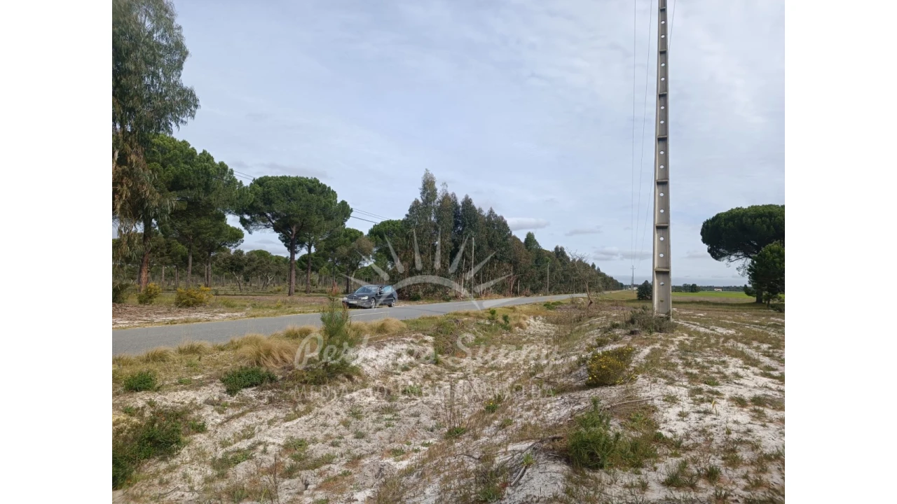 Terreno Agricola ou Rústico para Venda em Grândola e Santa Margarida da Serra Foto 11