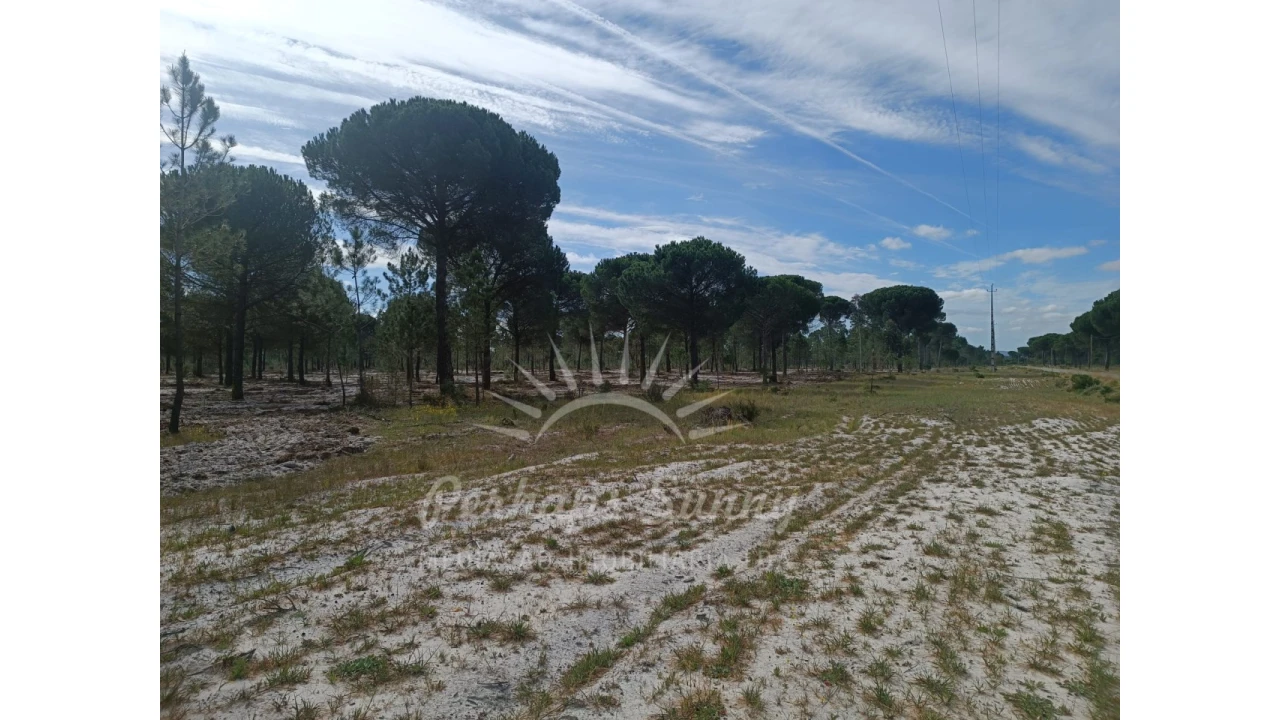 Terreno Agricola ou Rústico para Venda em Grândola e Santa Margarida da Serra Foto 13