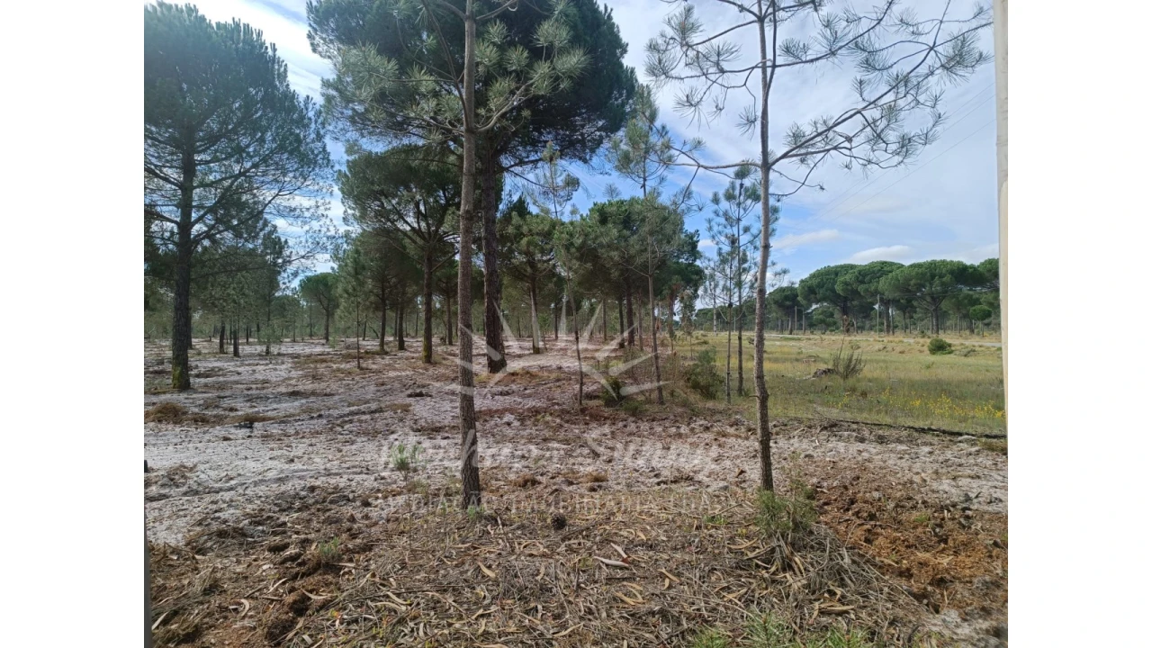 Terreno Agricola ou Rústico para Venda em Grândola e Santa Margarida da Serra Foto 14