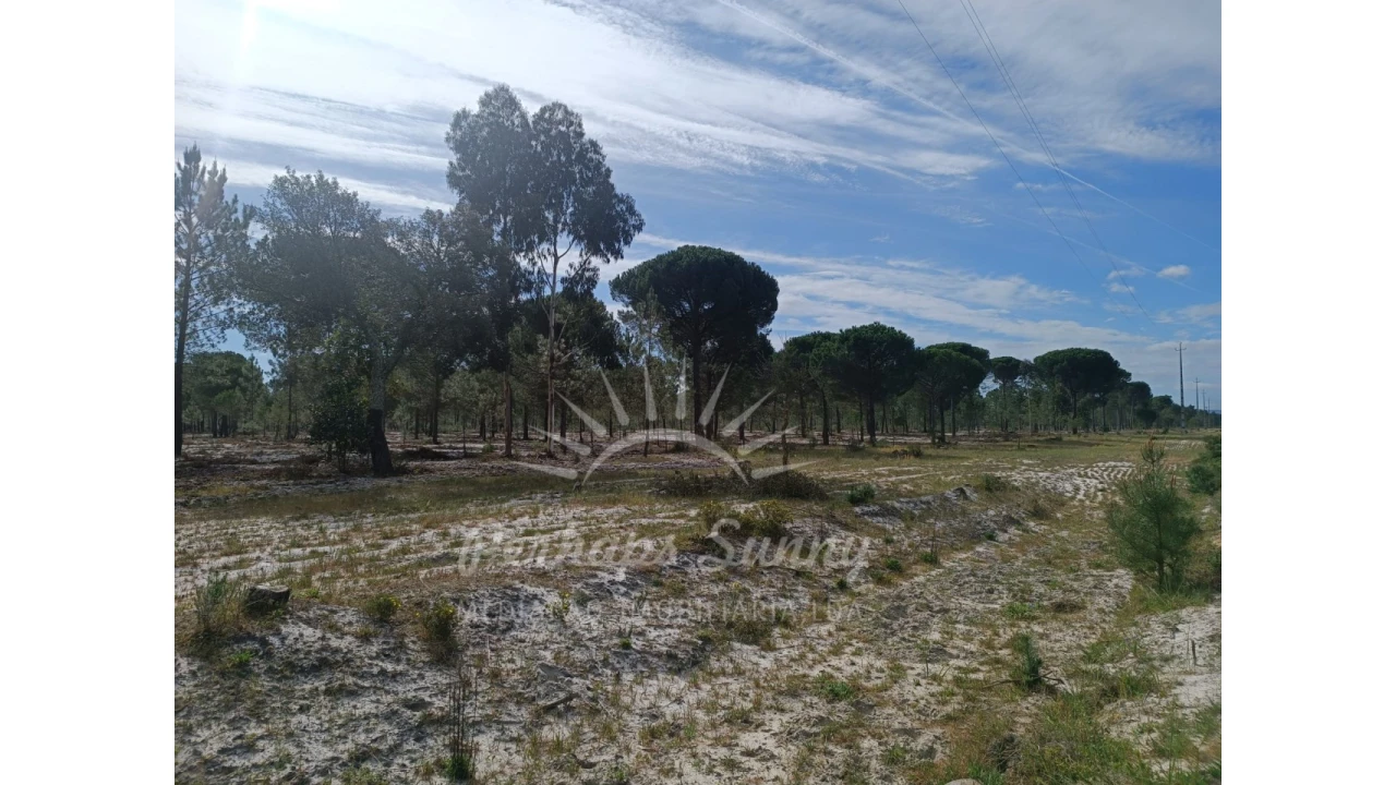 Terreno Agricola ou Rústico para Venda em Grândola e Santa Margarida da Serra Foto 4