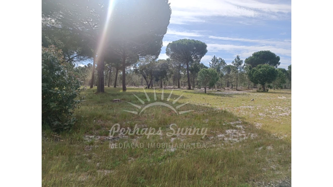 Terreno Agricola ou Rústico para Venda em Grândola e Santa Margarida da Serra Foto 20