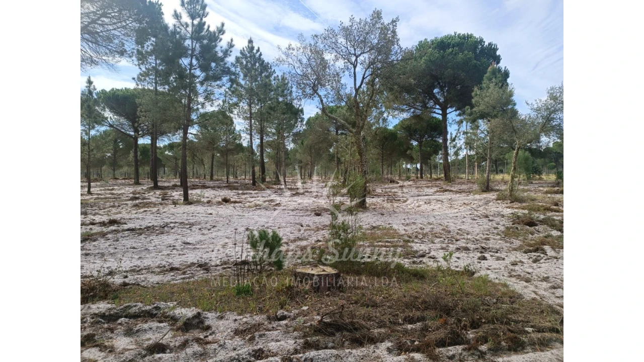 Terreno Agricola ou Rústico para Venda em Grândola e Santa Margarida da Serra Foto 22