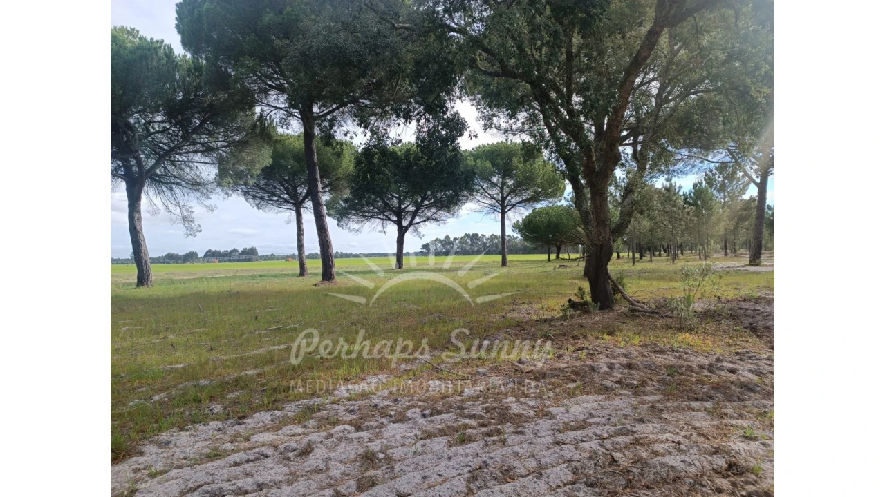 Terreno Agricola ou Rústico para Venda em Grândola e Santa Margarida da Serra Foto 2