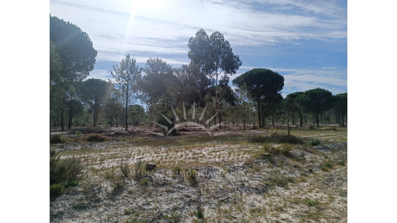 Terreno Agricola ou Rústico para Venda em Grândola e Santa Margarida da Serra Foto 24