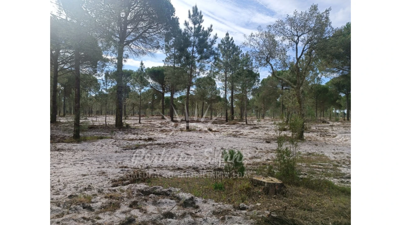 Terreno Agricola ou Rústico para Venda em Grândola e Santa Margarida da Serra Foto 25