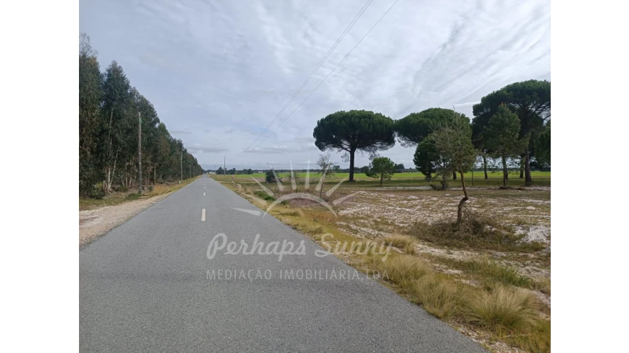 Terreno Agricola ou Rústico para Venda em Grândola e Santa Margarida da Serra Foto 6