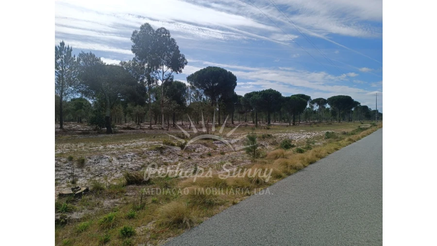 Terreno Agricola ou Rústico para Venda em Grândola e Santa Margarida da Serra Foto 7