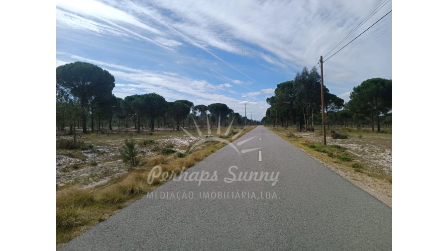 Terreno Agricola ou Rústico para Venda em Grândola e Santa Margarida da Serra Foto 8