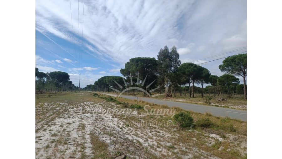 Terreno Agricola ou Rústico para Venda em Grândola e Santa Margarida da Serra Foto 12