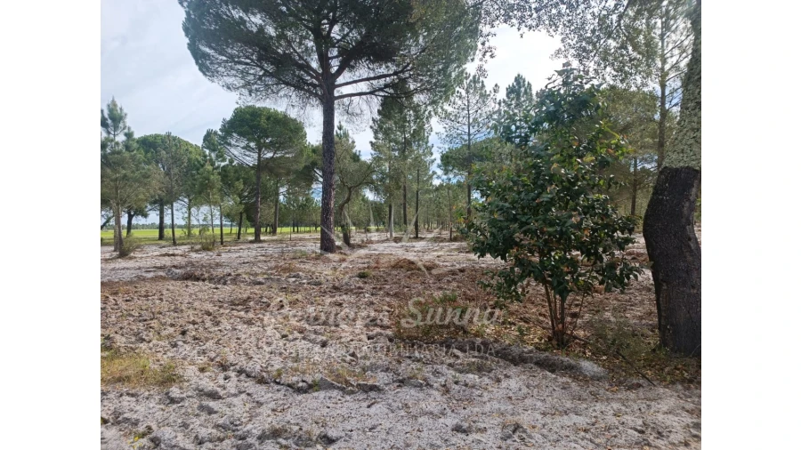 Terreno Agricola ou Rústico para Venda em Grândola e Santa Margarida da Serra Foto 16
