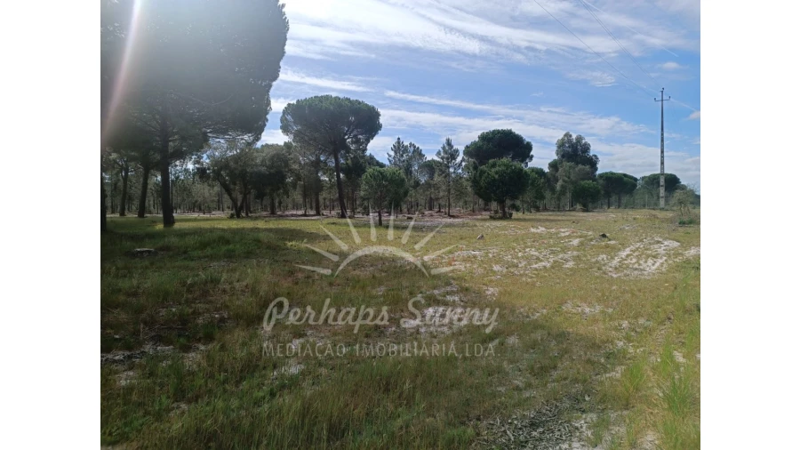Terreno Agricola ou Rústico para Venda em Grândola e Santa Margarida da Serra Foto 21
