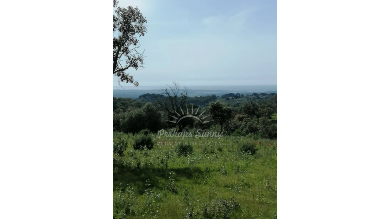 Terreno Agricola ou Rústico para Venda em Melides Foto 1