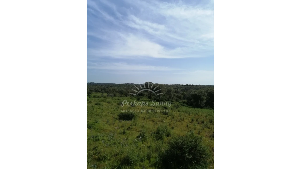 Terreno Agricola ou Rústico para Venda em Melides Foto 2