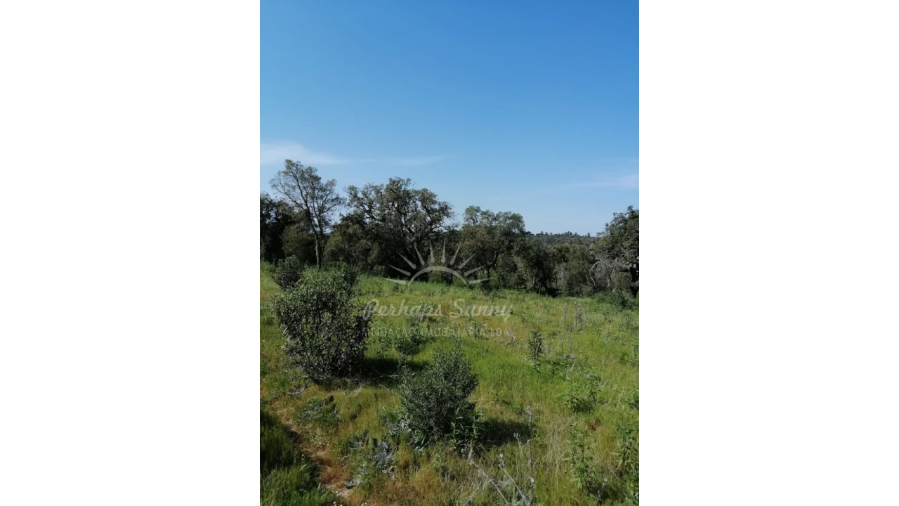 Terreno Agricola ou Rústico para Venda em Melides Foto 4