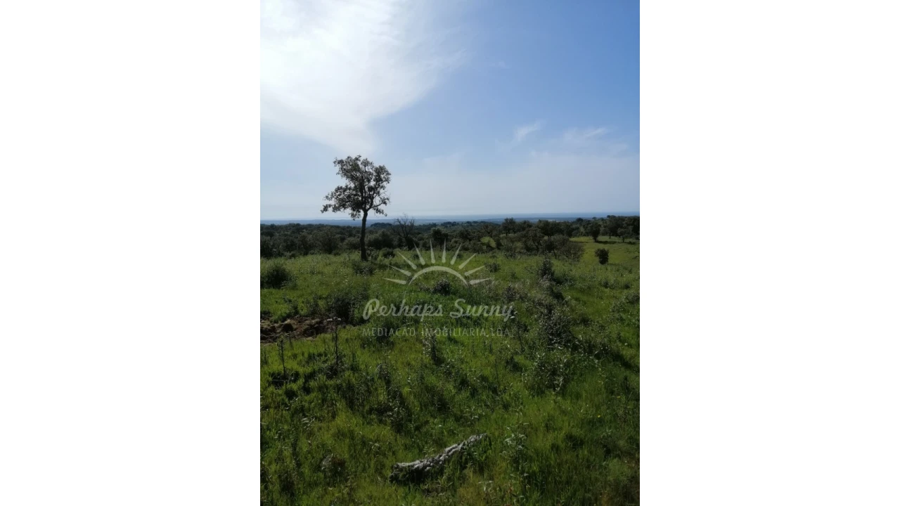 Terreno Agricola ou Rústico para Venda em Melides Foto 6