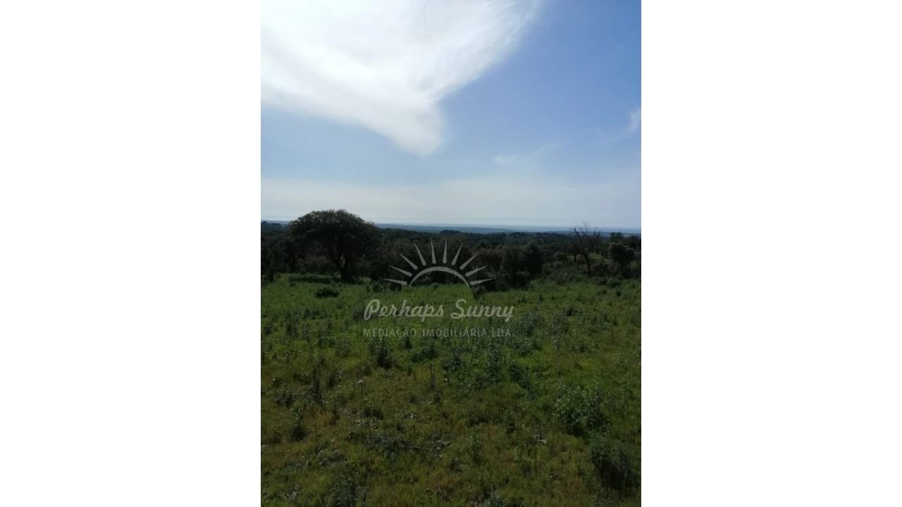 Terreno Agricola ou Rústico para Venda em Melides Foto 9