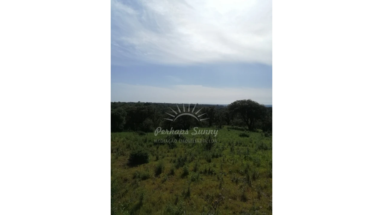 Terreno Agricola ou Rústico para Venda em Melides Foto 10