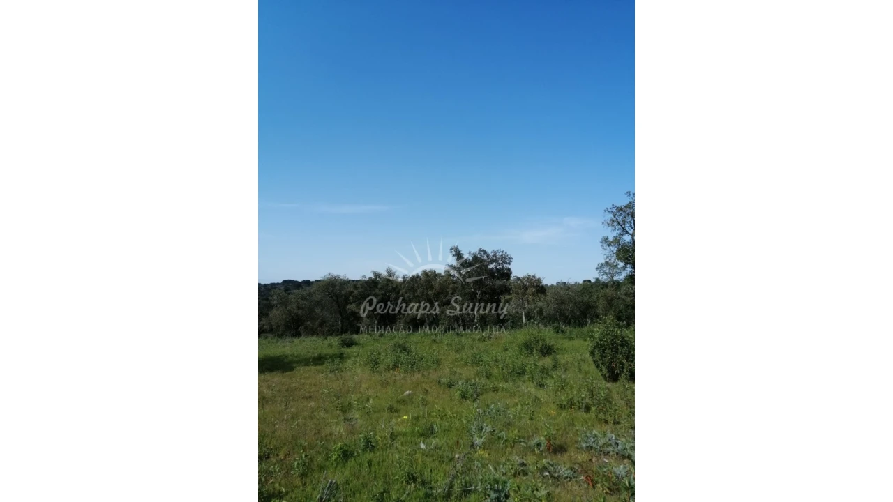 Terreno Agricola ou Rústico para Venda em Melides Foto 12