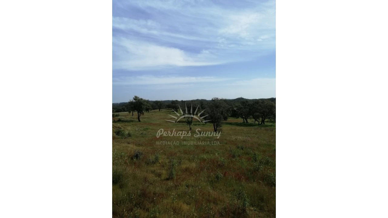 Terreno Agricola ou Rústico para Venda em Melides Foto 13