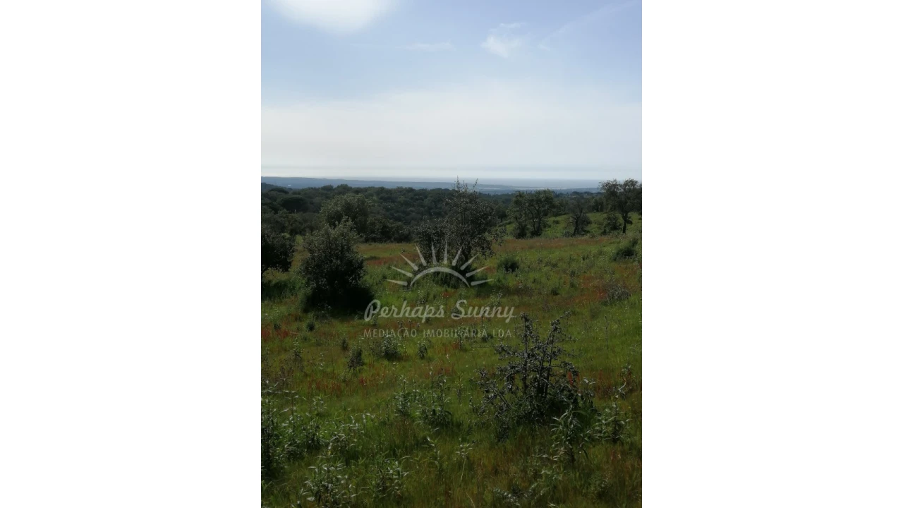Terreno Agricola ou Rústico para Venda em Melides Foto 14