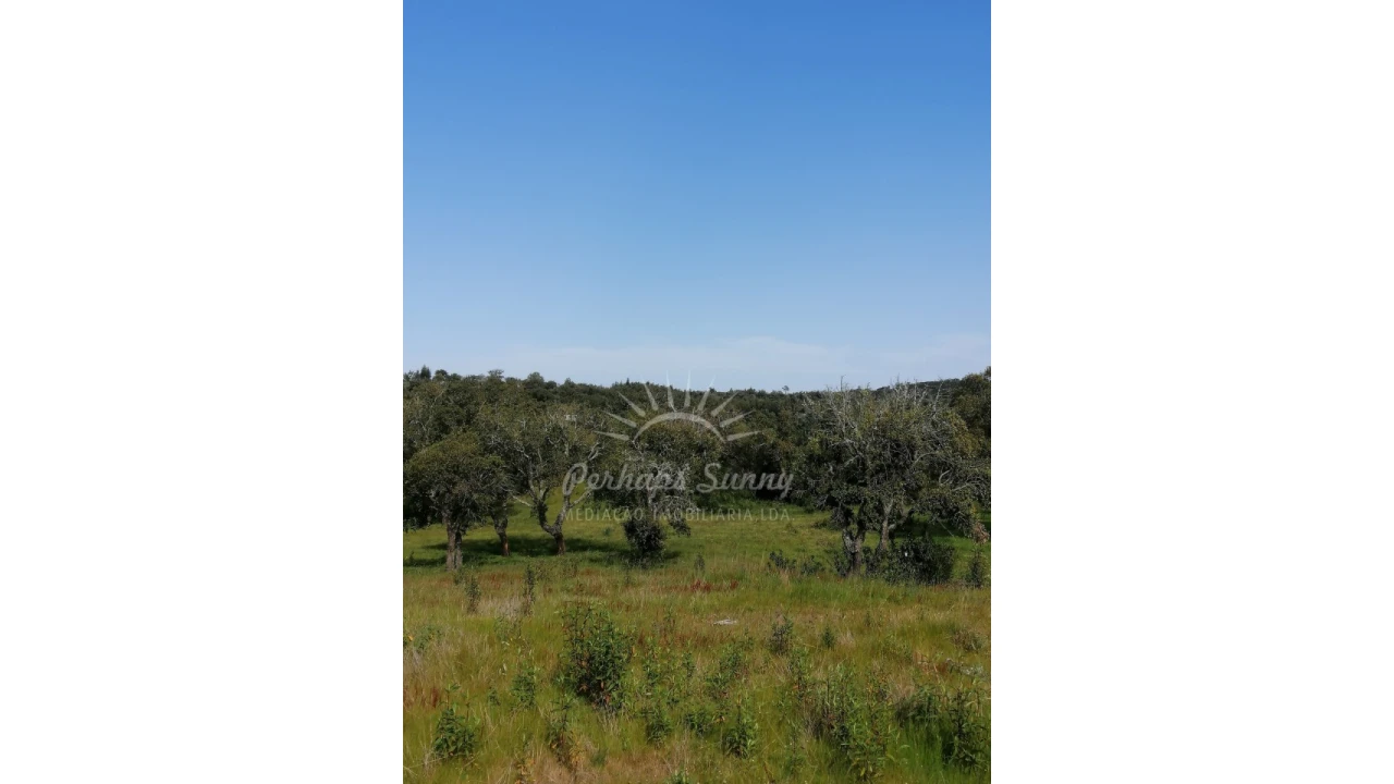 Terreno Agricola ou Rústico para Venda em Melides Foto 15