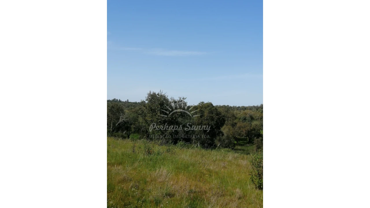 Terreno Agricola ou Rústico para Venda em Melides Foto 16