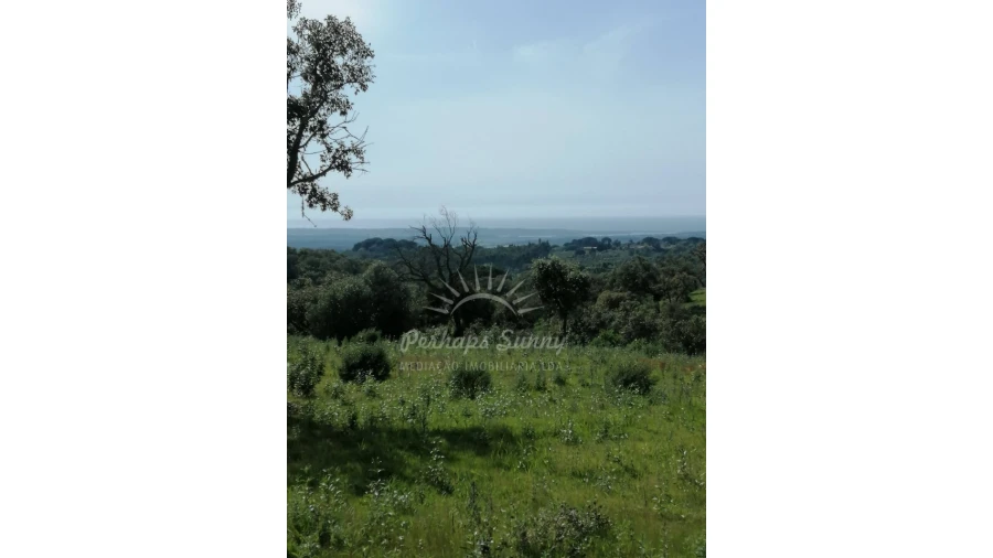 Terreno Agricola ou Rústico para Venda em Melides