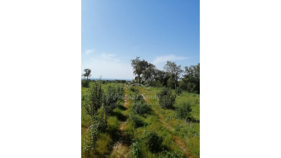 Terreno Agricola ou Rústico para Venda em Melides Foto 3