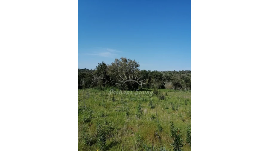 Terreno Agricola ou Rústico para Venda em Melides Foto 5