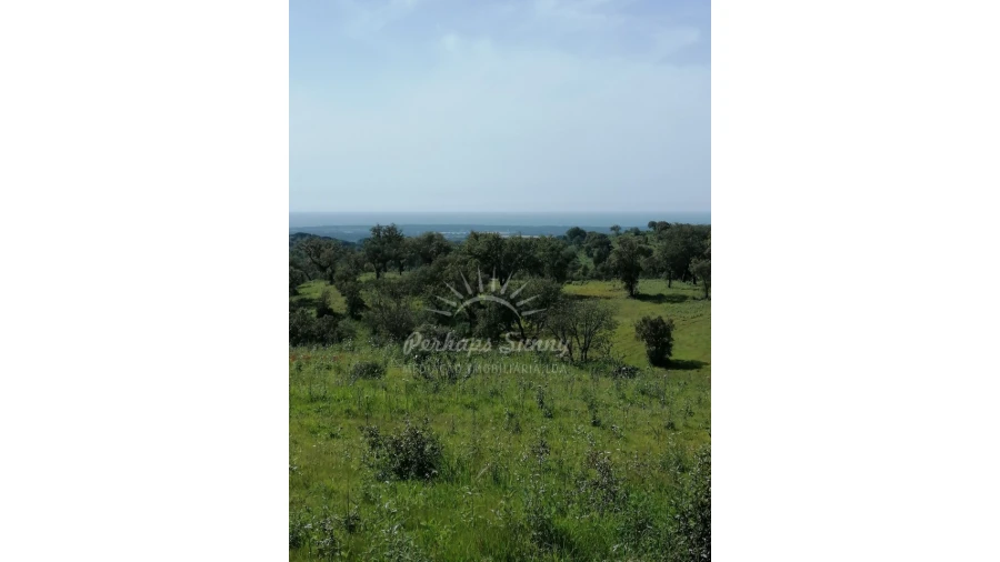 Terreno Agricola ou Rústico para Venda em Melides Foto 7