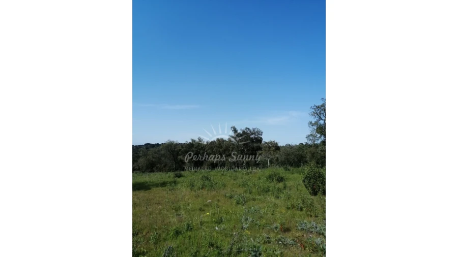 Terreno Agricola ou Rústico para Venda em Melides Foto 12