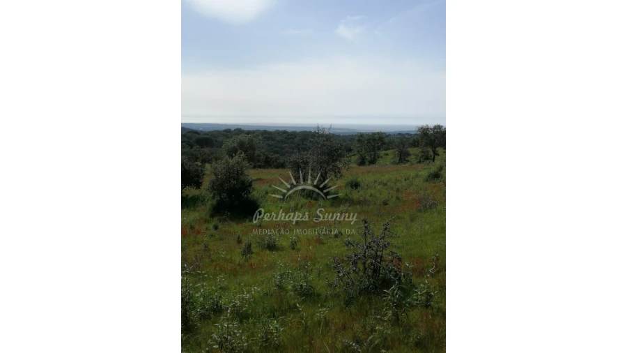 Terreno Agricola ou Rústico para Venda em Melides Foto 14