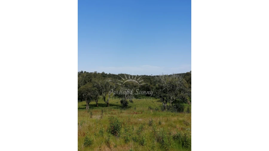 Terreno Agricola ou Rústico para Venda em Melides Foto 15