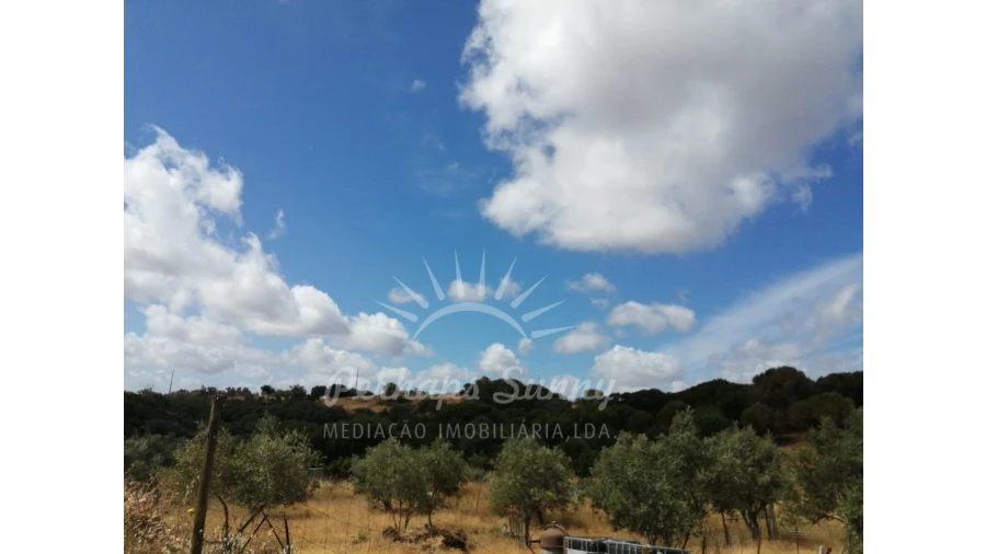 Terreno para Venda em Grândola e Santa Margarida da Serra Foto 7