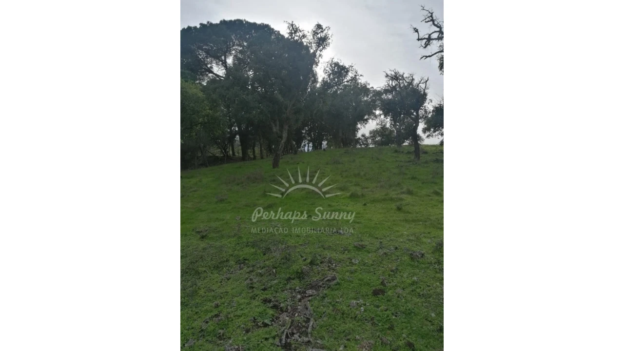 Terreno Misto para Venda em Grândola e Santa Margarida da Serra Foto 13