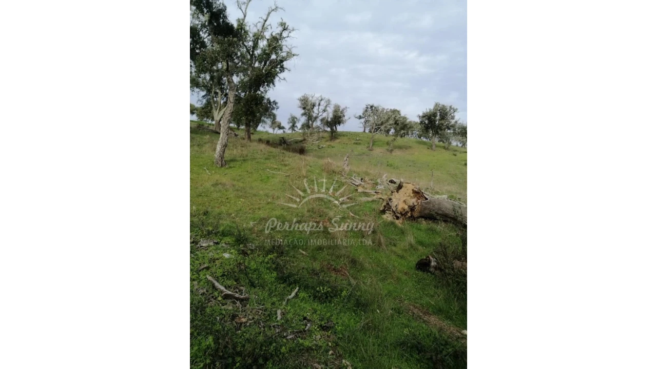 Terreno Misto para Venda em Grândola e Santa Margarida da Serra Foto 14