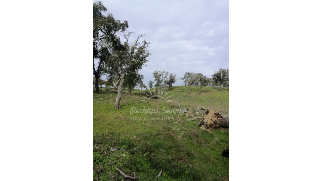 Terreno Misto para Venda em Grândola e Santa Margarida da Serra Foto 18