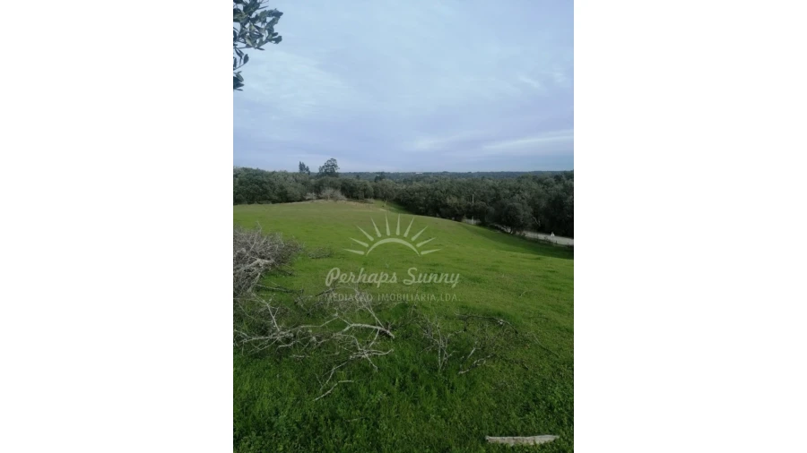 Terreno Misto para Venda em Grândola e Santa Margarida da Serra Foto 7