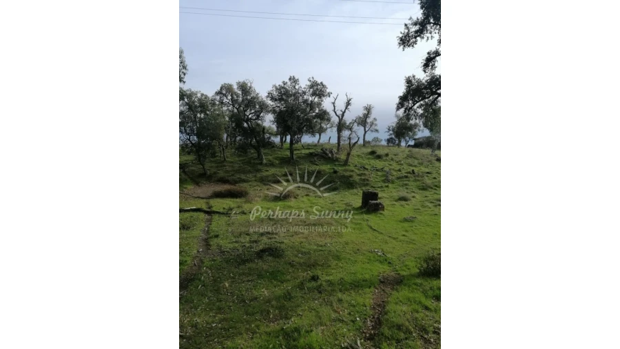 Terreno Misto para Venda em Grândola e Santa Margarida da Serra Foto 12