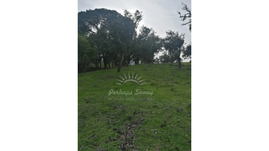 Terreno Misto para Venda em Grândola e Santa Margarida da Serra Foto 13