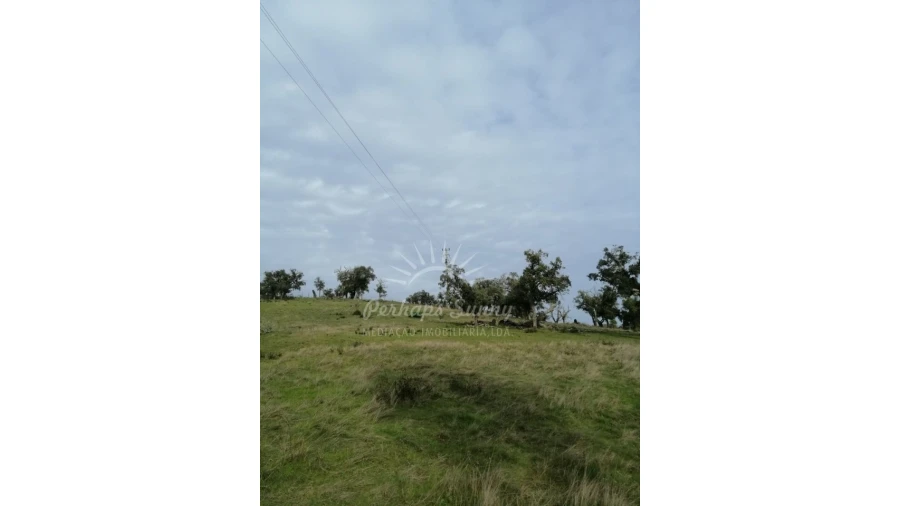Terreno Misto para Venda em Grândola e Santa Margarida da Serra Foto 15