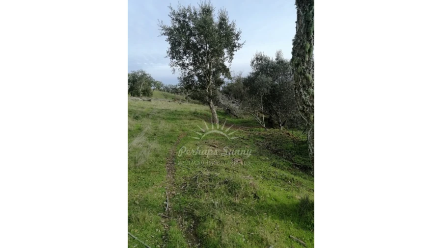 Terreno Misto para Venda em Grândola e Santa Margarida da Serra Foto 16