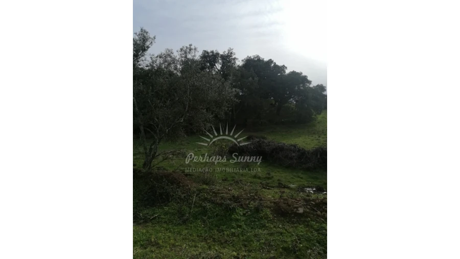 Terreno Misto para Venda em Grândola e Santa Margarida da Serra Foto 17
