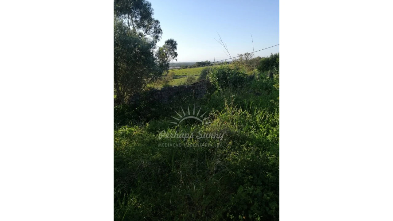 Terreno Misto para Venda em Santiago do Cacém, Santa Cruz e São Bartolomeu da Serra Foto 5