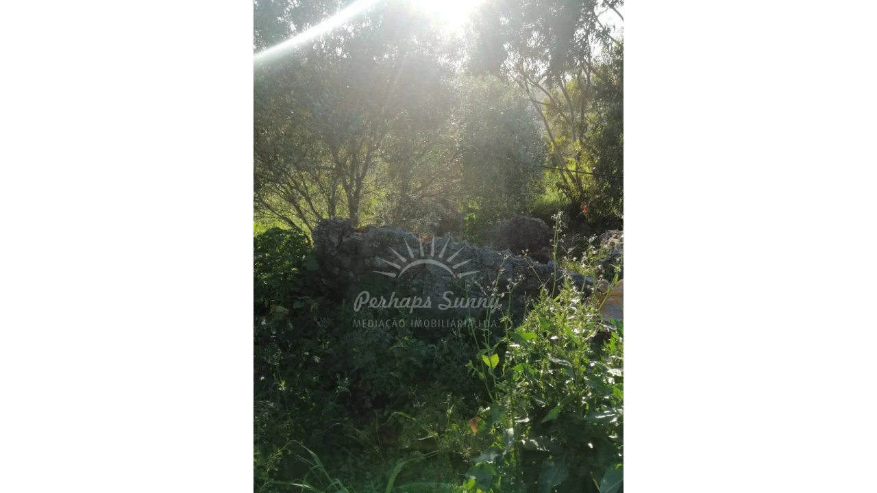 Terreno Misto para Venda em Santiago do Cacém, Santa Cruz e São Bartolomeu da Serra Foto 16