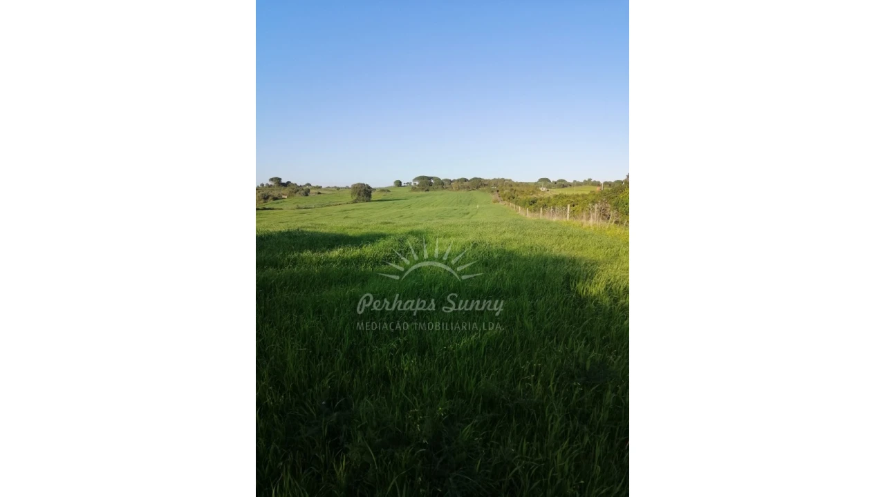 Terreno Misto para Venda em Santiago do Cacém, Santa Cruz e São Bartolomeu da Serra Foto 19