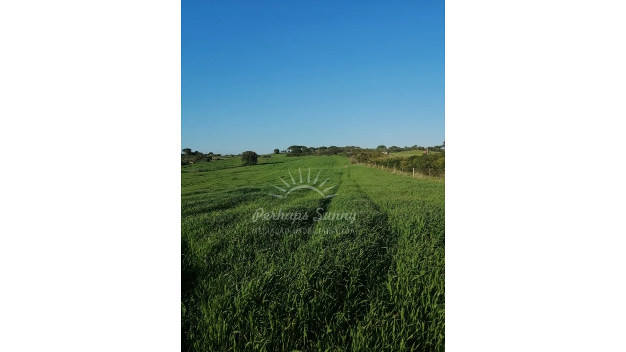 Terreno Misto para Venda em Santiago do Cacém, Santa Cruz e São Bartolomeu da Serra Foto 4