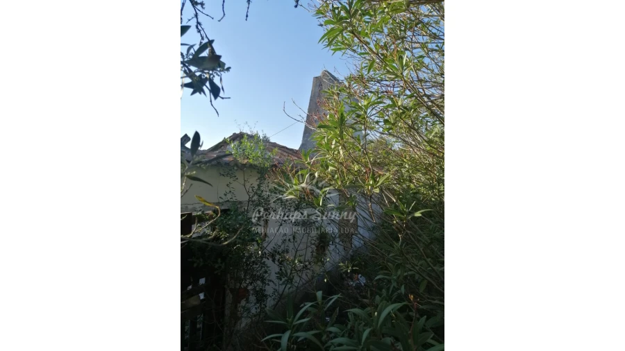 Terreno Misto para Venda em Santiago do Cacém, Santa Cruz e São Bartolomeu da Serra Foto 12