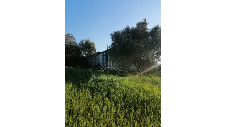 Terreno Misto para Venda em Santiago do Cacém, Santa Cruz e São Bartolomeu da Serra Foto 13